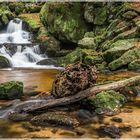 Ysperklamm Herbst IV