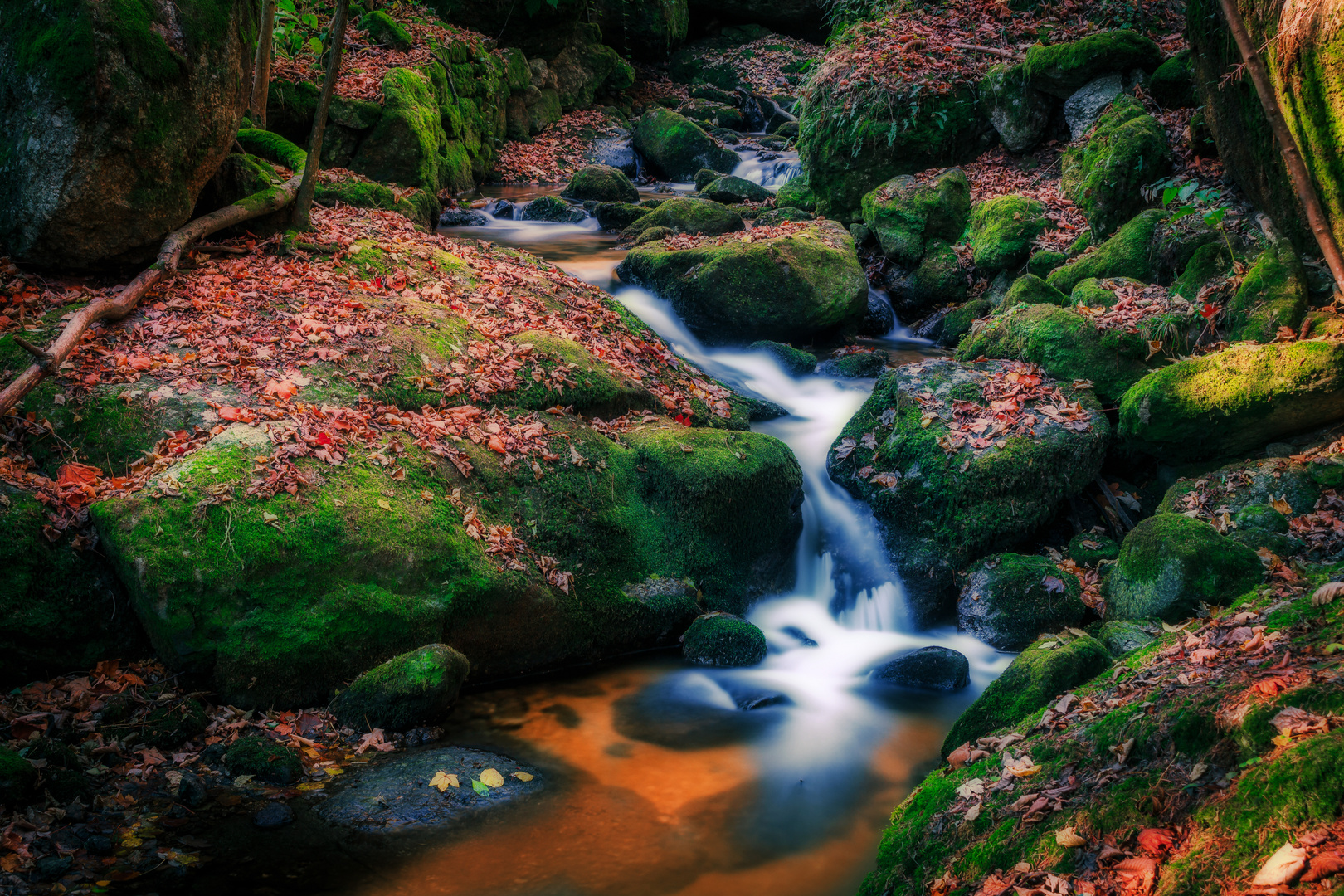 Ysperklamm im Herbst