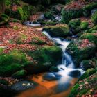 Ysperklamm im Herbst