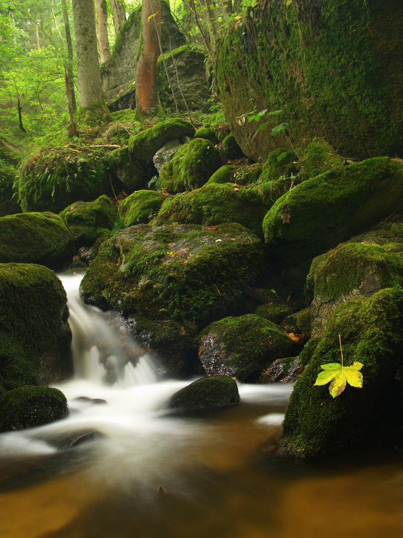 Ysperklamm in Niederösterreich