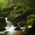 Ysperklamm in Niederösterreich