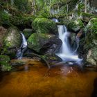 Ysperklamm - wildes Wasser, wilder Wald