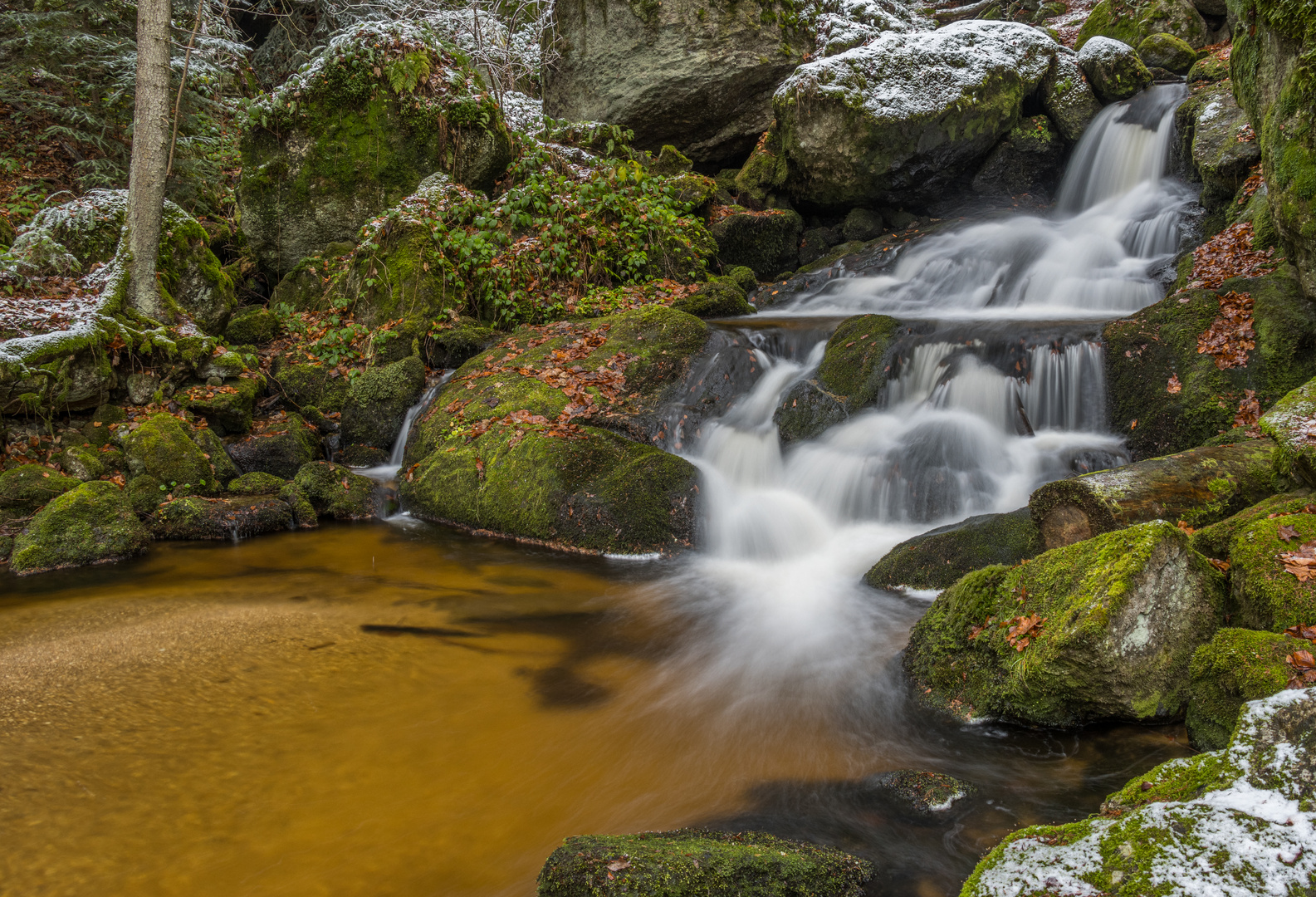 Ysperklamm3