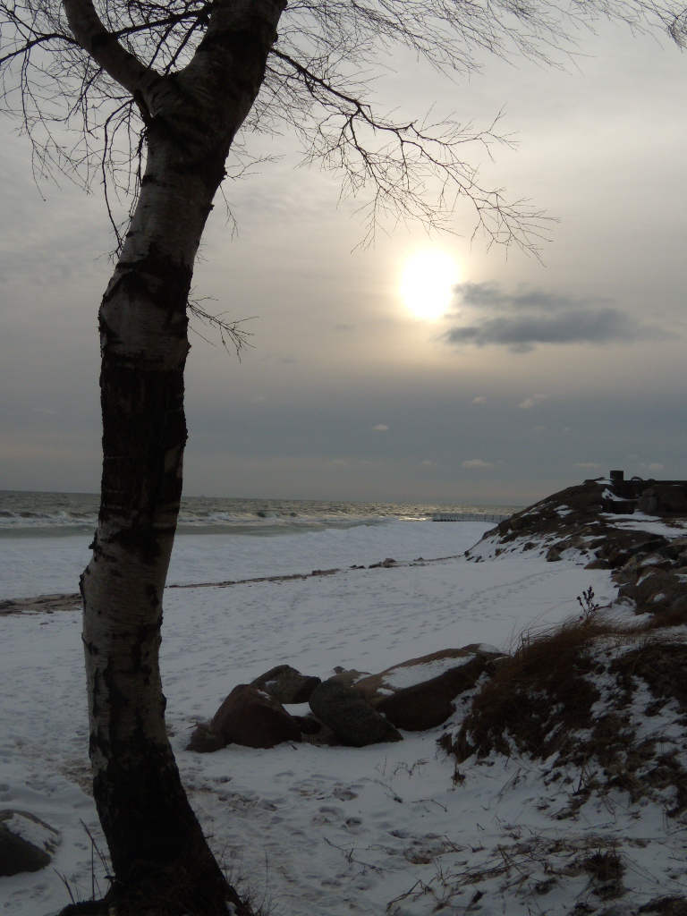 Ystad coastline