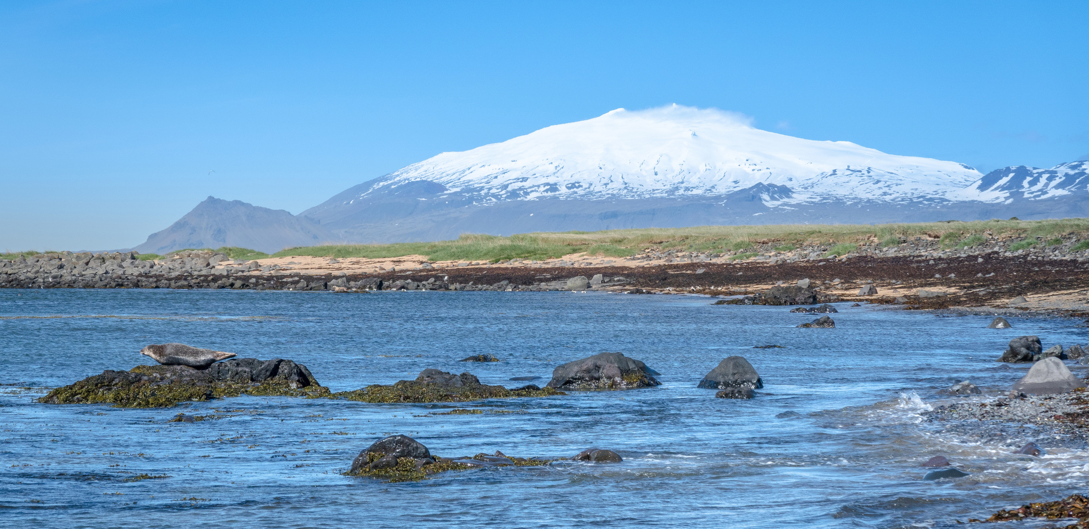 Ytri Tunga der bekannte Robbenstrand