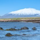 Ytri Tunga der bekannte Robbenstrand