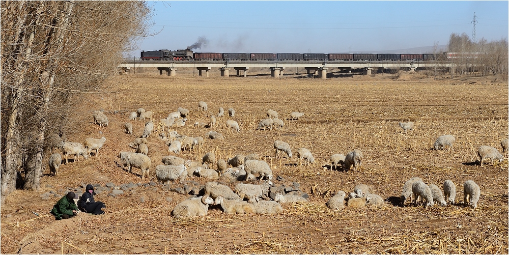 Yuanbaoshan 2013 - X - Schäferstündchen