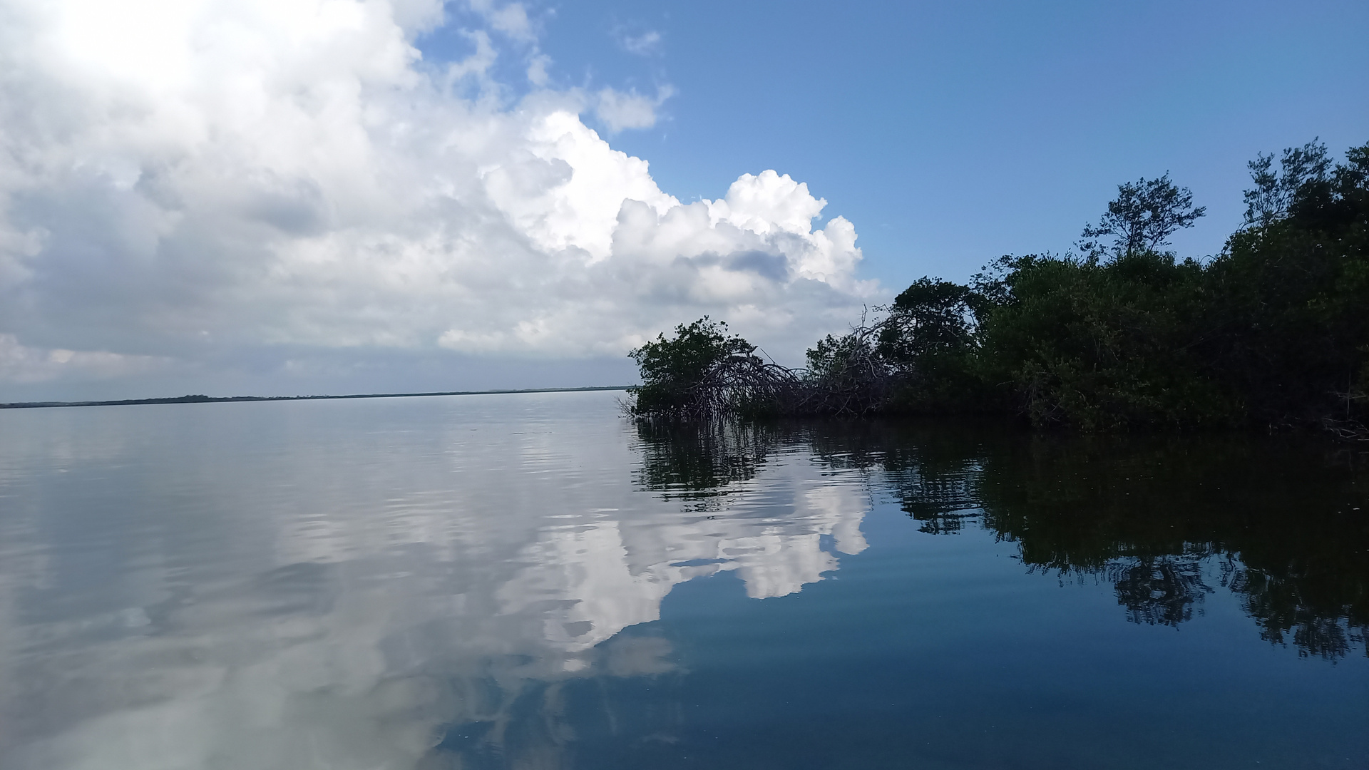 Yucatan 5 Mexiko Mangroveninsel