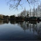 Yuehu Lake 2