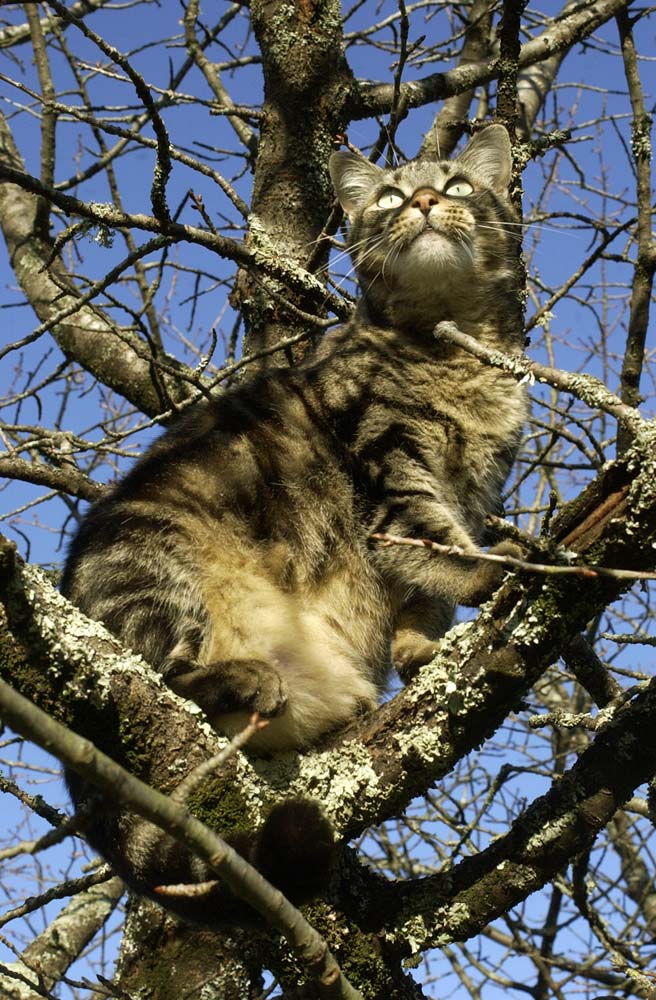 Yuki en calculant la distance: moi -> le moineau