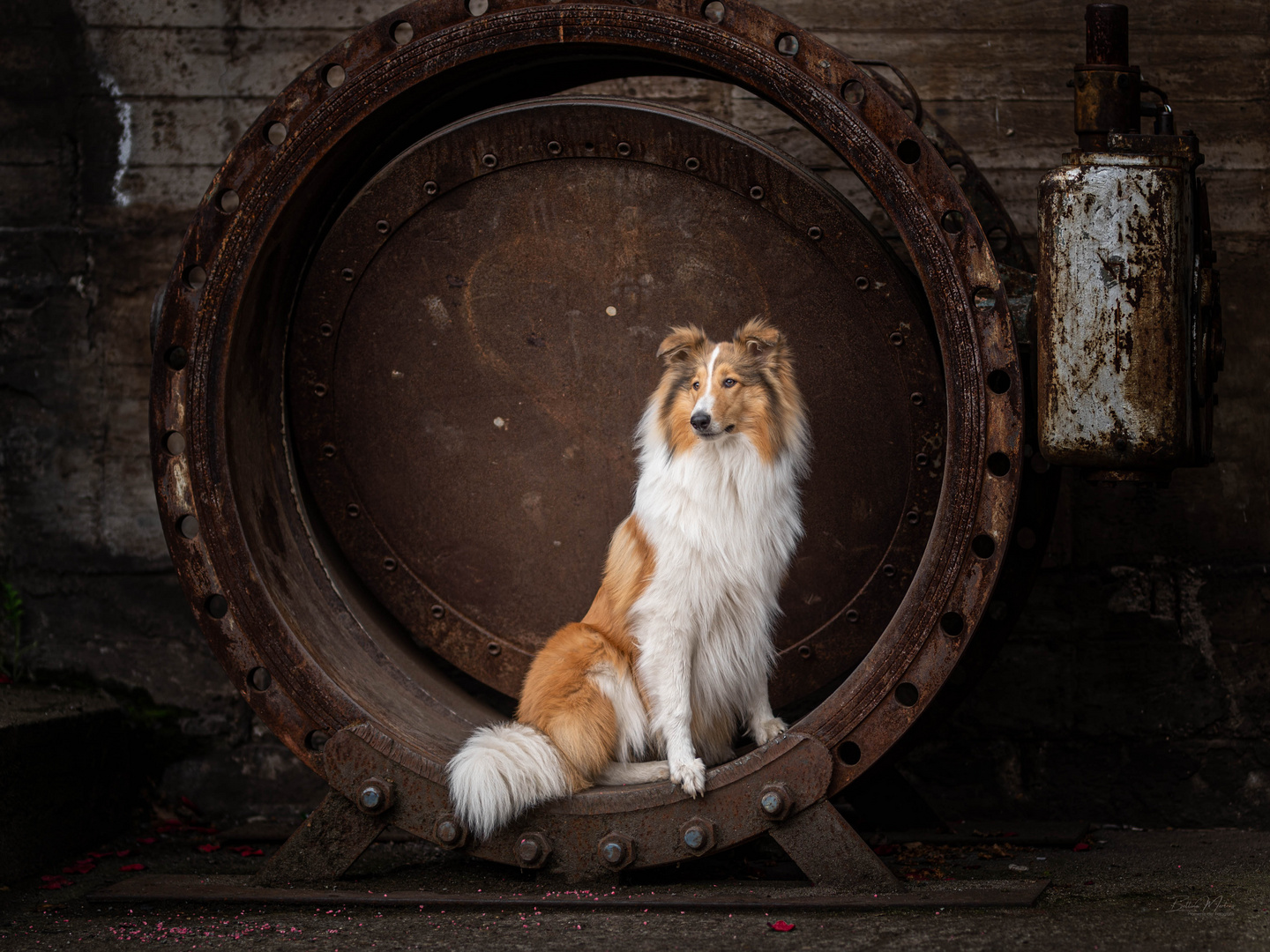 Yuki und die Industriekultur im Ruhrgebiet