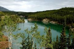 Yukon Canyon bei Whitehorse