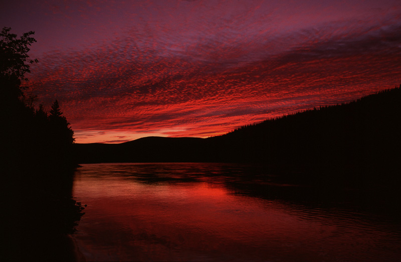 Yukon nights