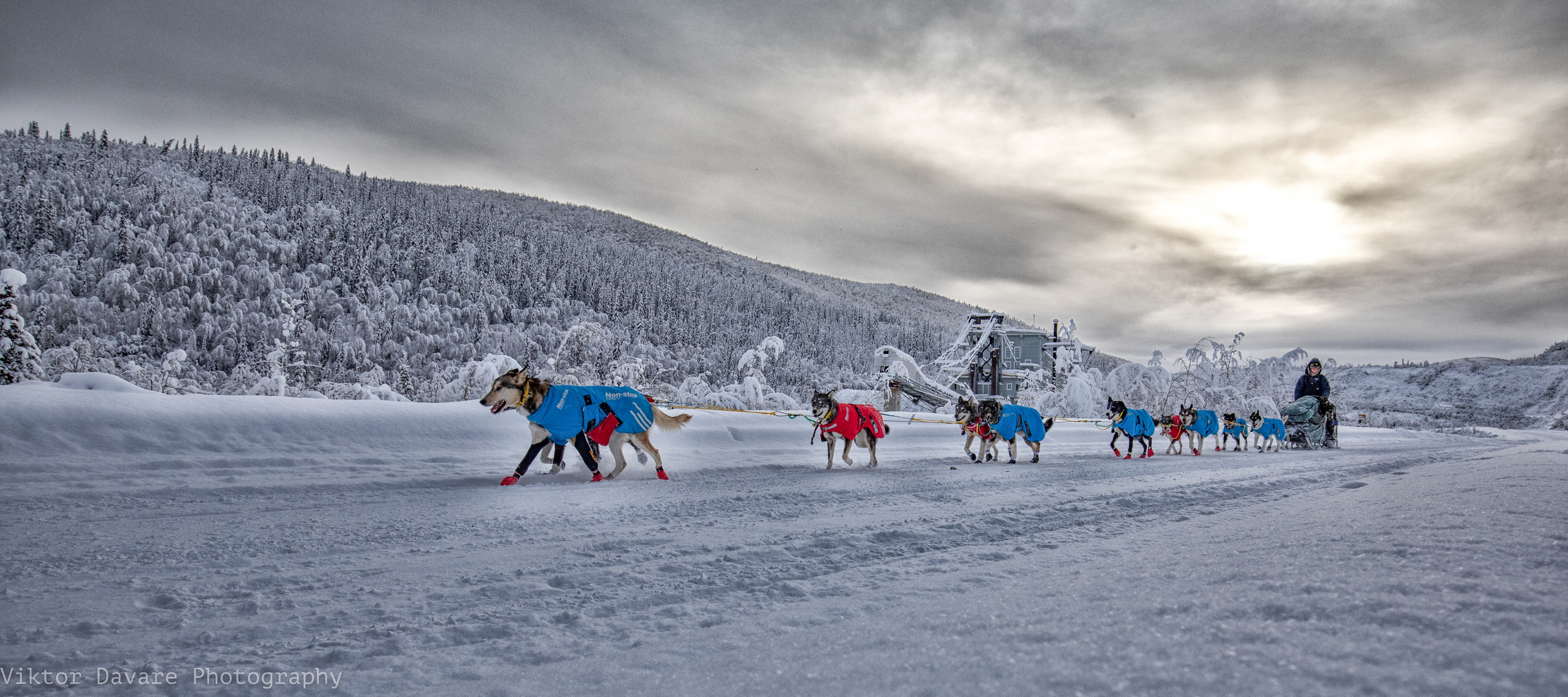 Yukon Quest