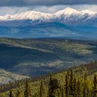 Yukon Solitude