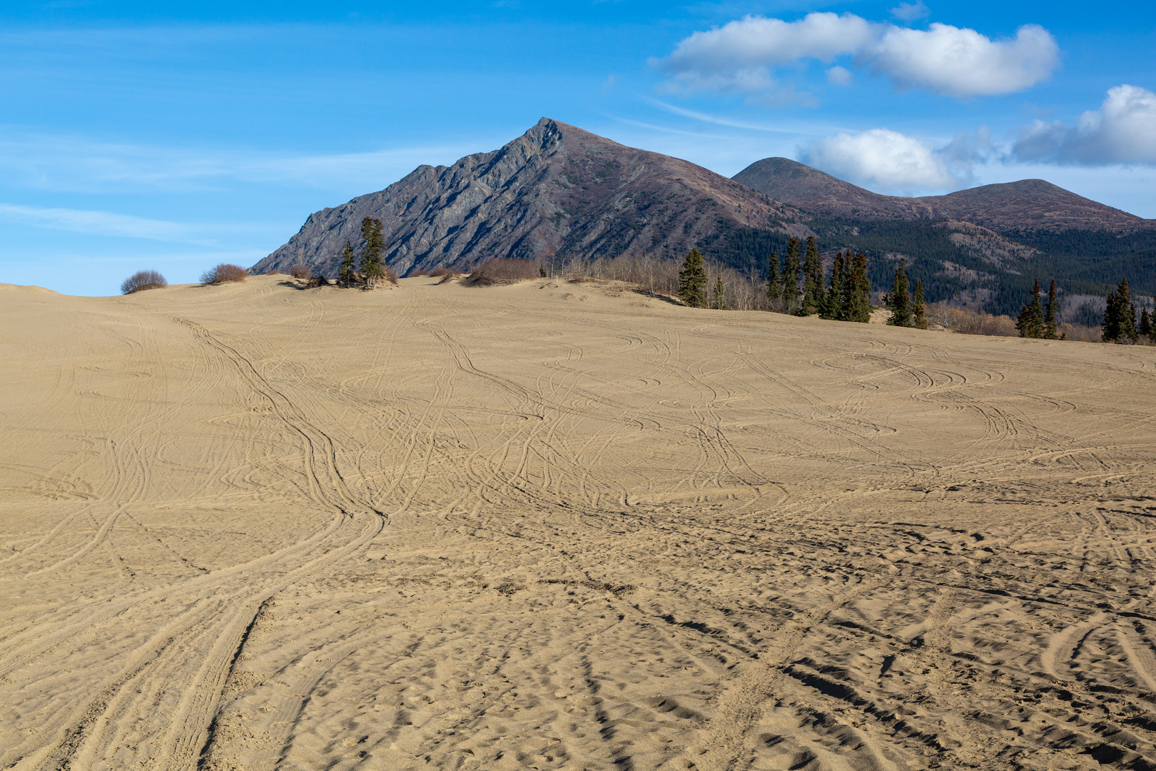 Yukon_Caribou_Mountain_Carcross_Desert-Garon-20191004_0031