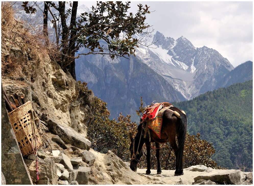 Yulong Xueshan - der Jadedrachen-Schneeberg