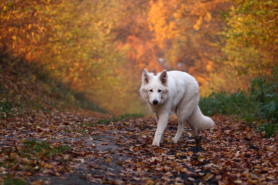 Yuma im Herbst ....