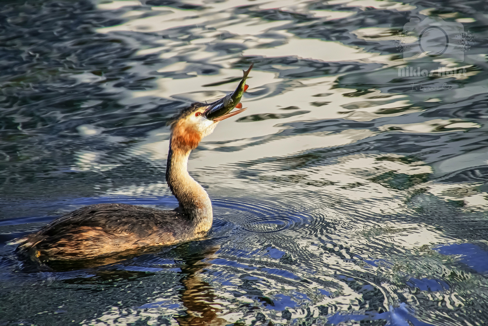 Yummy Foto & Bild | fotos, youth, wasser Bilder auf fotocommunity