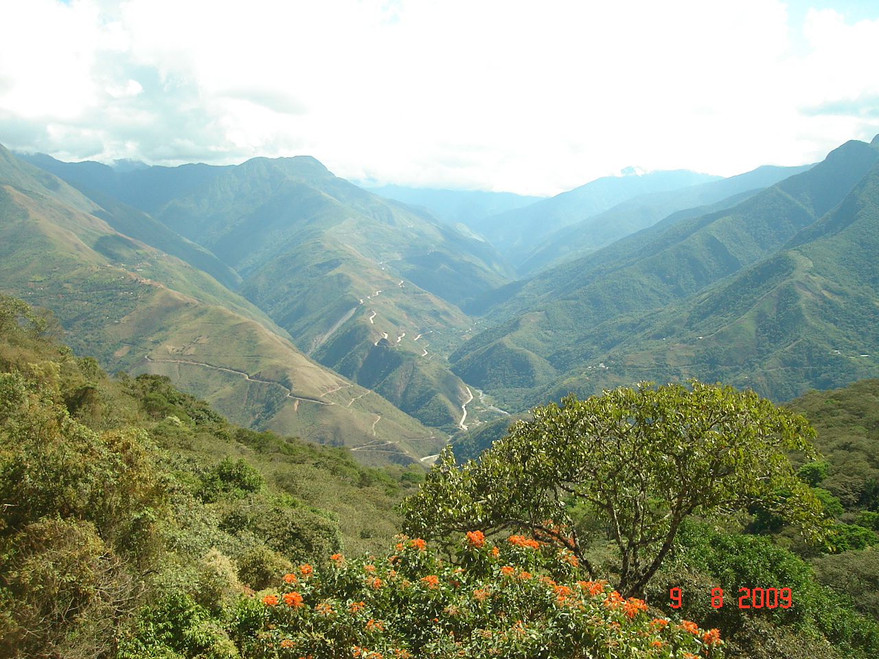 Yungas