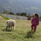 Yungay , La oveja y la niña