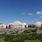 Yurt City - Ulgii - Mongolia