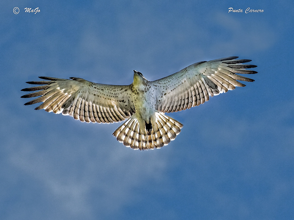 z-01-05-09-Punta-Carnero--