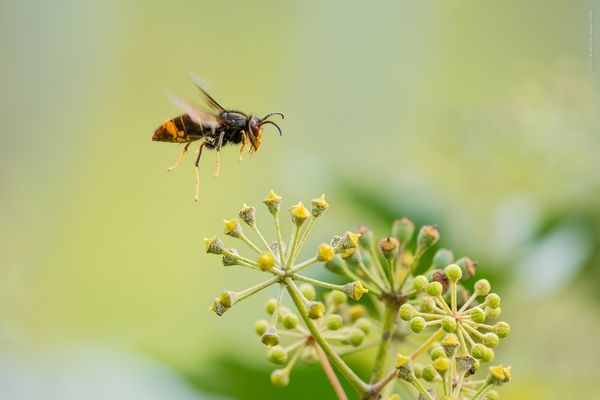 . . z i e m l i c h . z ü g i g . u n t e r w e g s . . 