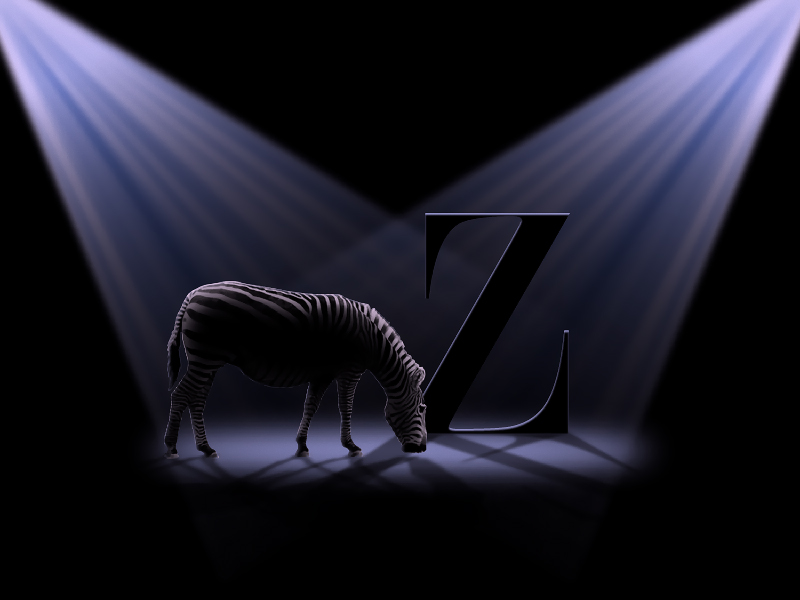 Z is for Zebra