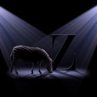 Z is for Zebra