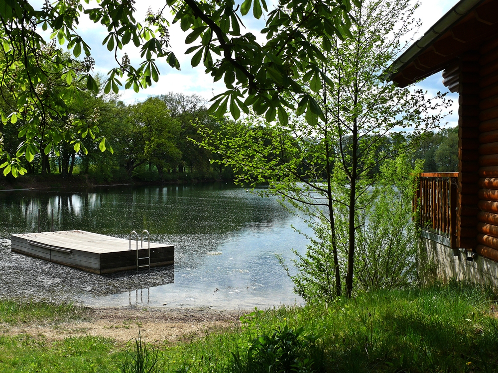 z. Thema DAS GRÜNE ZIMMER DER NATUR