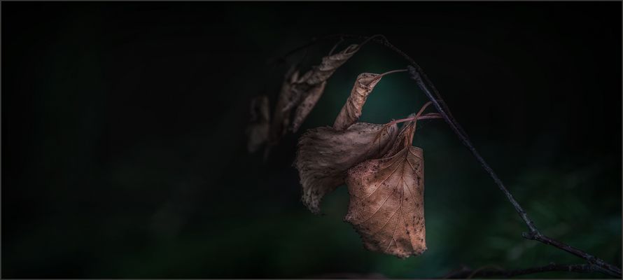 z u s a m m e n h a l t