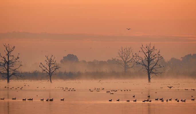 Z w i s c h e n s t a t i o n