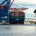 z. Zt. größter Containerfrachter der Welt