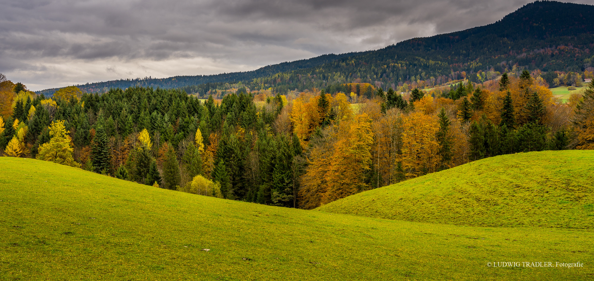 Z6I_1356 Herbst im Rupertiwinkel 