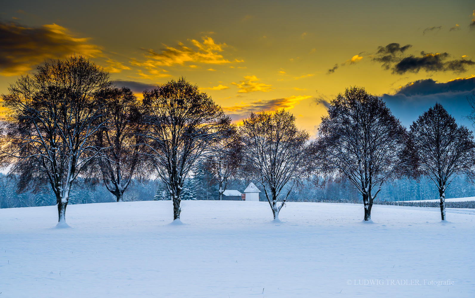 Z6I_2848 goldene Stunde am Morgen 