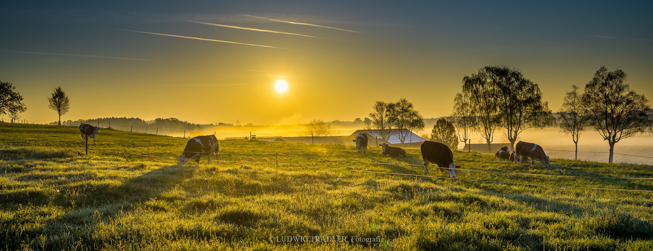 Z6I_3804 Sonnenaufgang 