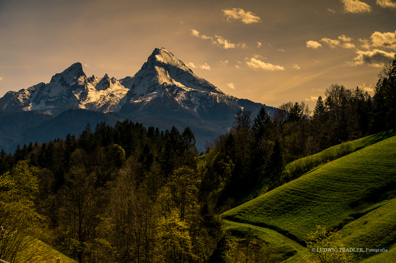 Z6I_5508 Watzmann im Abendlicht 