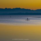 Z6I_6467 SUP-Paddler im Abendlicht