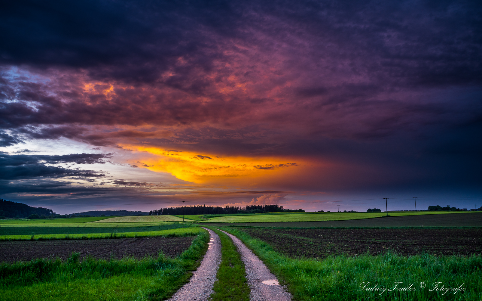 Z6I_7964 nach dem Gewitter 