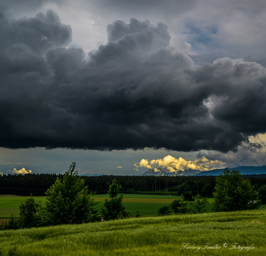 Z6I_8608 schwarz und weiß 