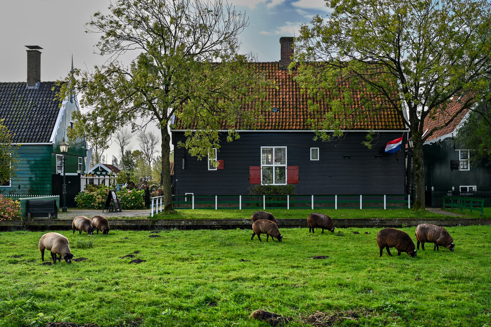 Zaanse Schans 04