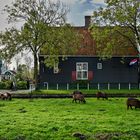 Zaanse Schans 04