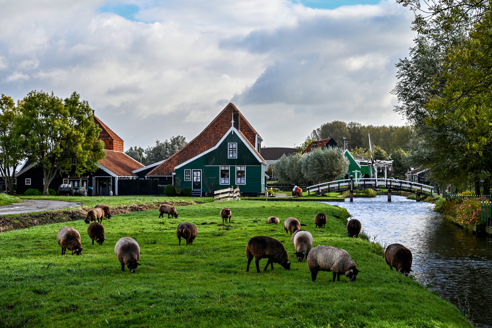 Zaanse Schans 10