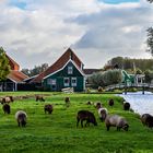 Zaanse Schans 10