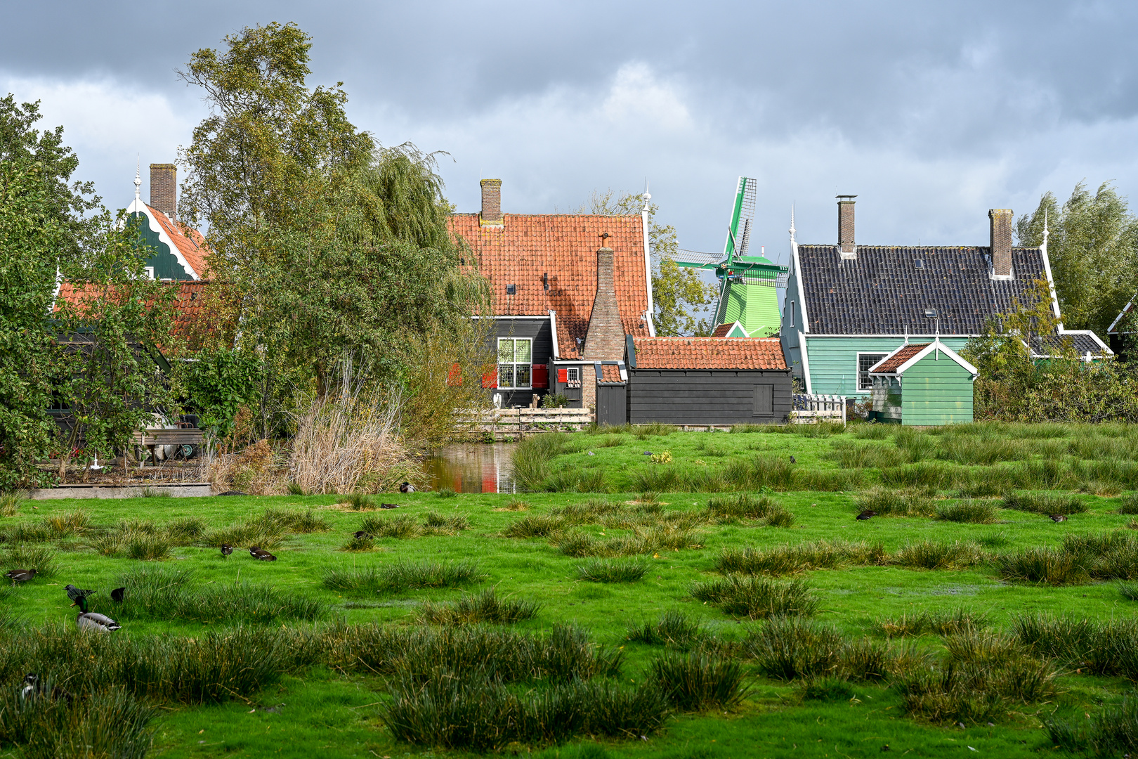 Zaanse Schans 17