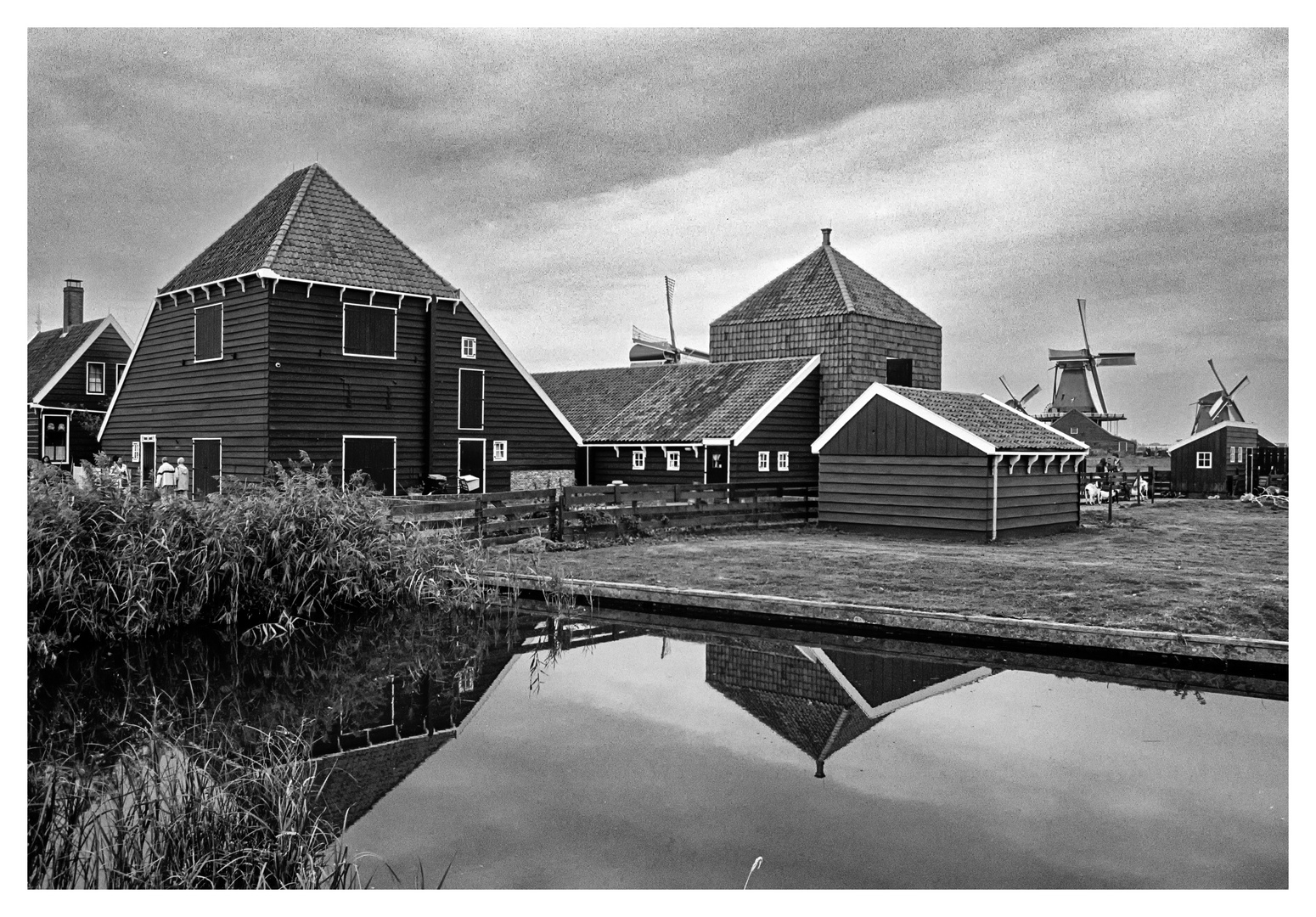 Zaanse Schans 2