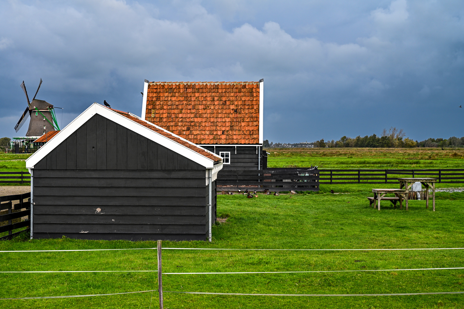 Zaanse Schans 22