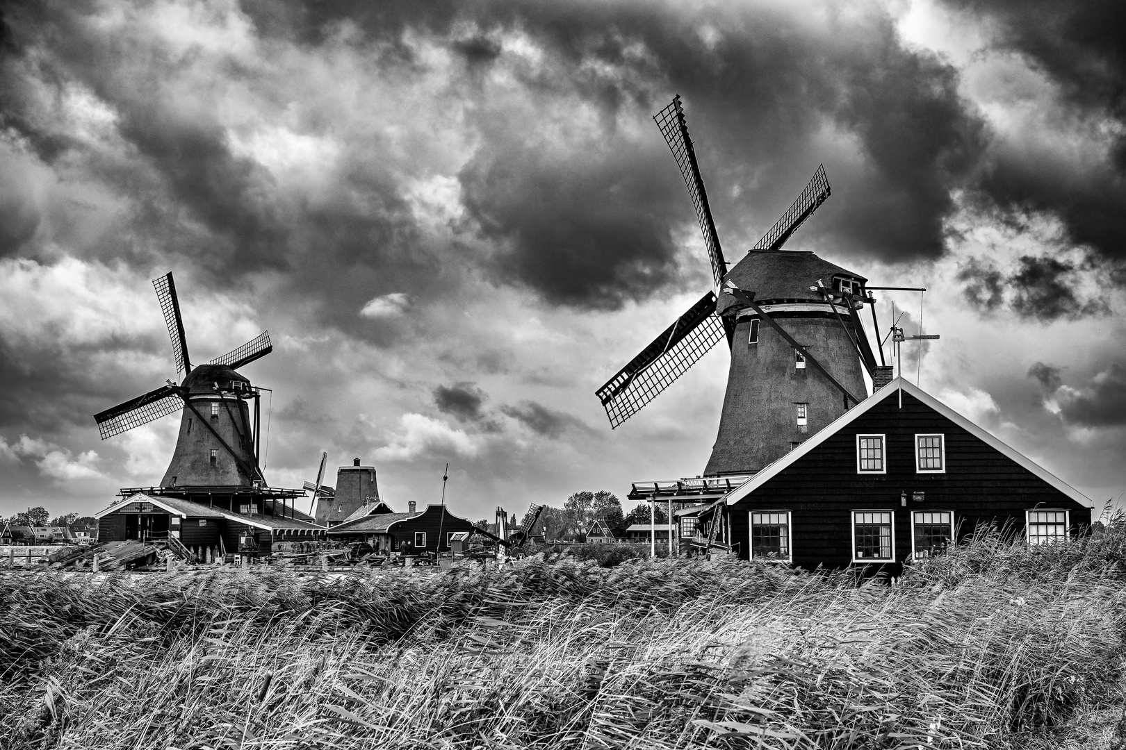 Zaanse Schans 30