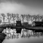 Zaanse Schans